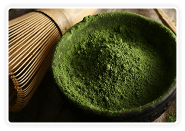fitburn ingridients